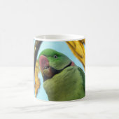 Paprot Kaffeetasse (Mittel)
