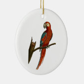 Paprot Keramikornament (Rechts)