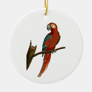 Paprot Keramikornament