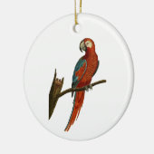 Paprot Keramikornament (Links)