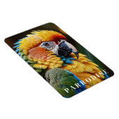 Paprot Magnet (Rechte Seite)