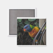 Paprot Magnet (Vorderseite/Rückseite)