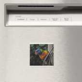 Paprot Magnet (In Situ (Geschirrspüler))