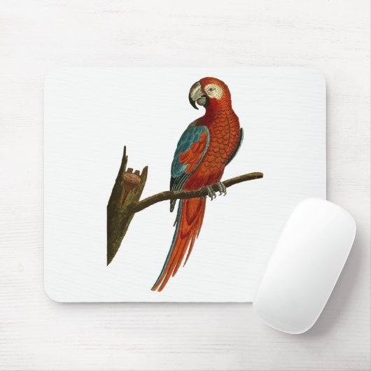 Paprot Mousepad (Mit Mouse)
