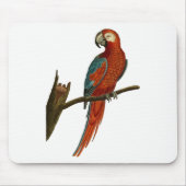 Paprot Mousepad (Vorne)