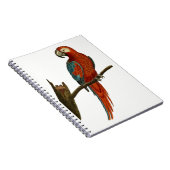 Paprot Notizblock (Rechte Seite)