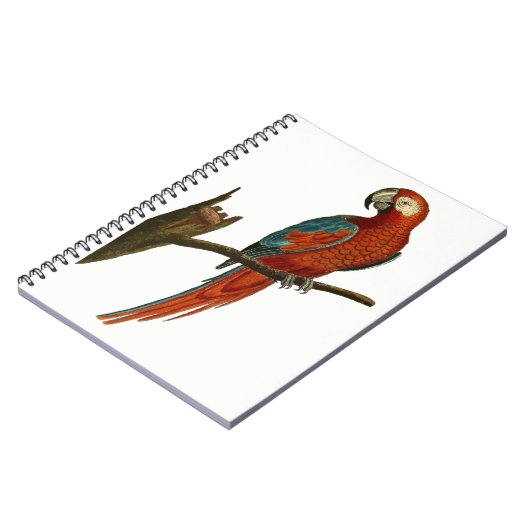 Paprot Notizblock (Linke Seite)