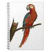 Paprot Notizblock (Vorderseite)