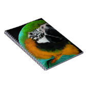 Paprot Notizblock (Rechte Seite)