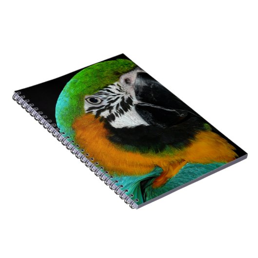 Paprot Notizblock (Rechte Seite)