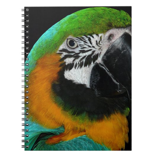 Paprot Notizblock (Vorderseite)