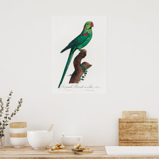 Paprot Poster (Küche)