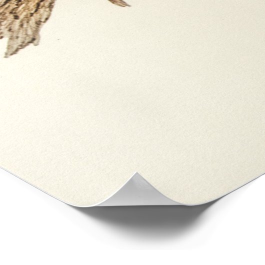 Paprot Poster (Ecke)