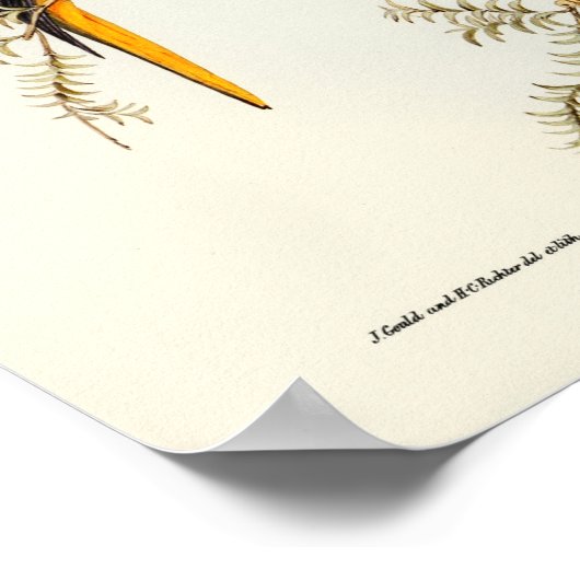 Paprot Poster (Ecke)