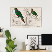 Paprot Poster (Heimbüro)