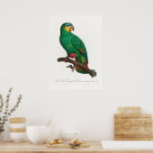 Paprot Poster (Küche)