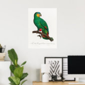 Paprot Poster (Heimbüro)