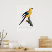 Paprot Poster (Küche)