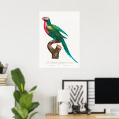 Paprot Poster (Heimbüro)