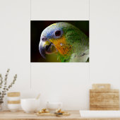 Paprot Poster (Küche)