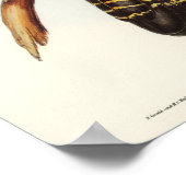 Paprot Poster (Ecke)