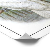 Paprot Poster (Ecke)