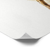 Paprot Poster (Ecke)