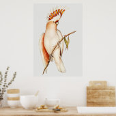 Paprot Poster (Küche)