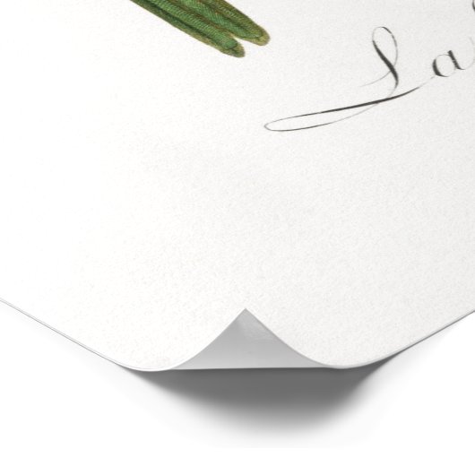 Paprot Poster (Ecke)