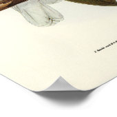 Paprot Poster (Ecke)