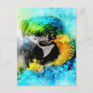 Paprot Postkarte