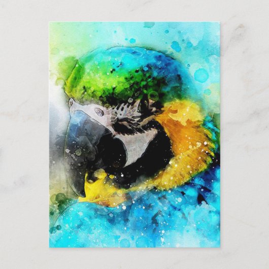 Paprot Postkarte (Vorderseite)