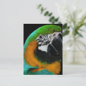 Paprot Postkarte (Stehend Vorderseite)