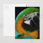 Paprot Postkarte (Vorne/Hinten)