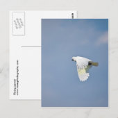 Paprot Postkarte (Vorne/Hinten)
