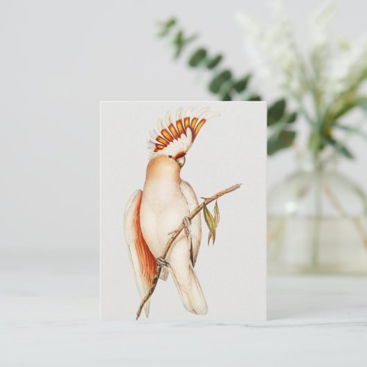 Paprot Postkarte (Stehend Vorderseite)