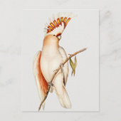 Paprot Postkarte (Vorderseite)