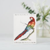 Paprot Postkarte (Stehend Vorderseite)