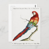 Paprot Postkarte (Vorne/Hinten)