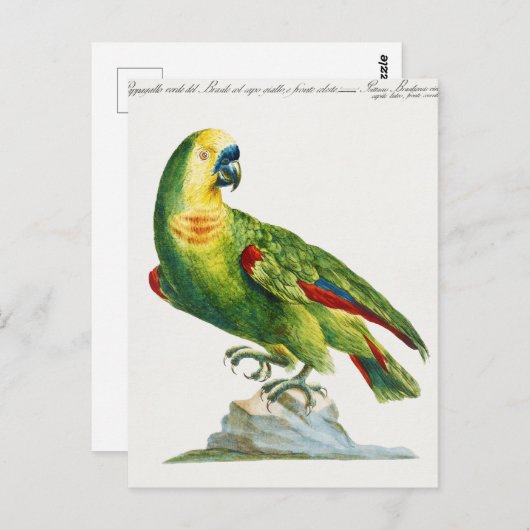 Paprot Postkarte (Vorne/Hinten)