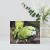 Paprot Postkarte (Stehend Vorderseite)