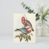 Paprot Postkarte (Stehend Vorderseite)