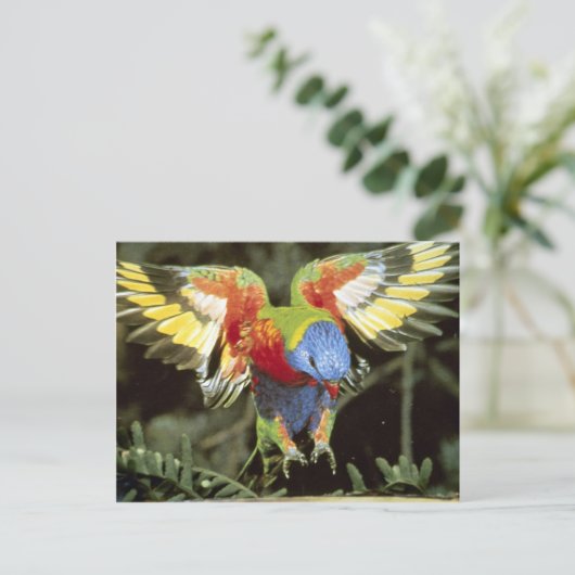 Paprot Postkarte (Stehend Vorderseite)