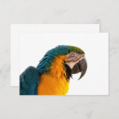 Paprot RSVP Karte (Vorne/Hinten)