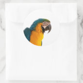 Paprot Runder Aufkleber (Tasche)