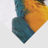 Paprot Seidenpapier (Ausschnitt)