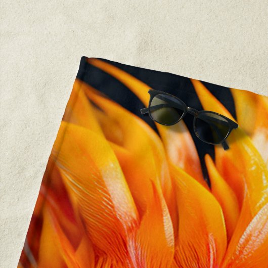 Paprot Strandtuch (Beispiel)