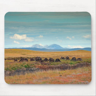 Paps aus Jura aus Islay, Schottland Mousepad