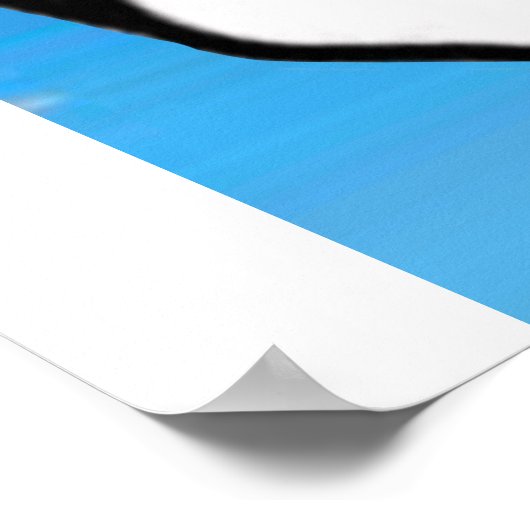 Papst mit blauem Himmel Poster (Ecke)