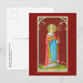Papst St. Cornelius (SAU 042) Postkarte